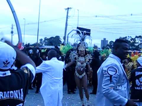 Vai-Vai batería, Carnaval São Paulo, 2011 — archive footage